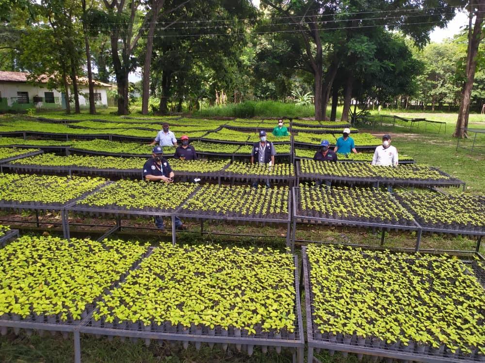 Conservación y gestión ambiental FAO - UNCT 2020