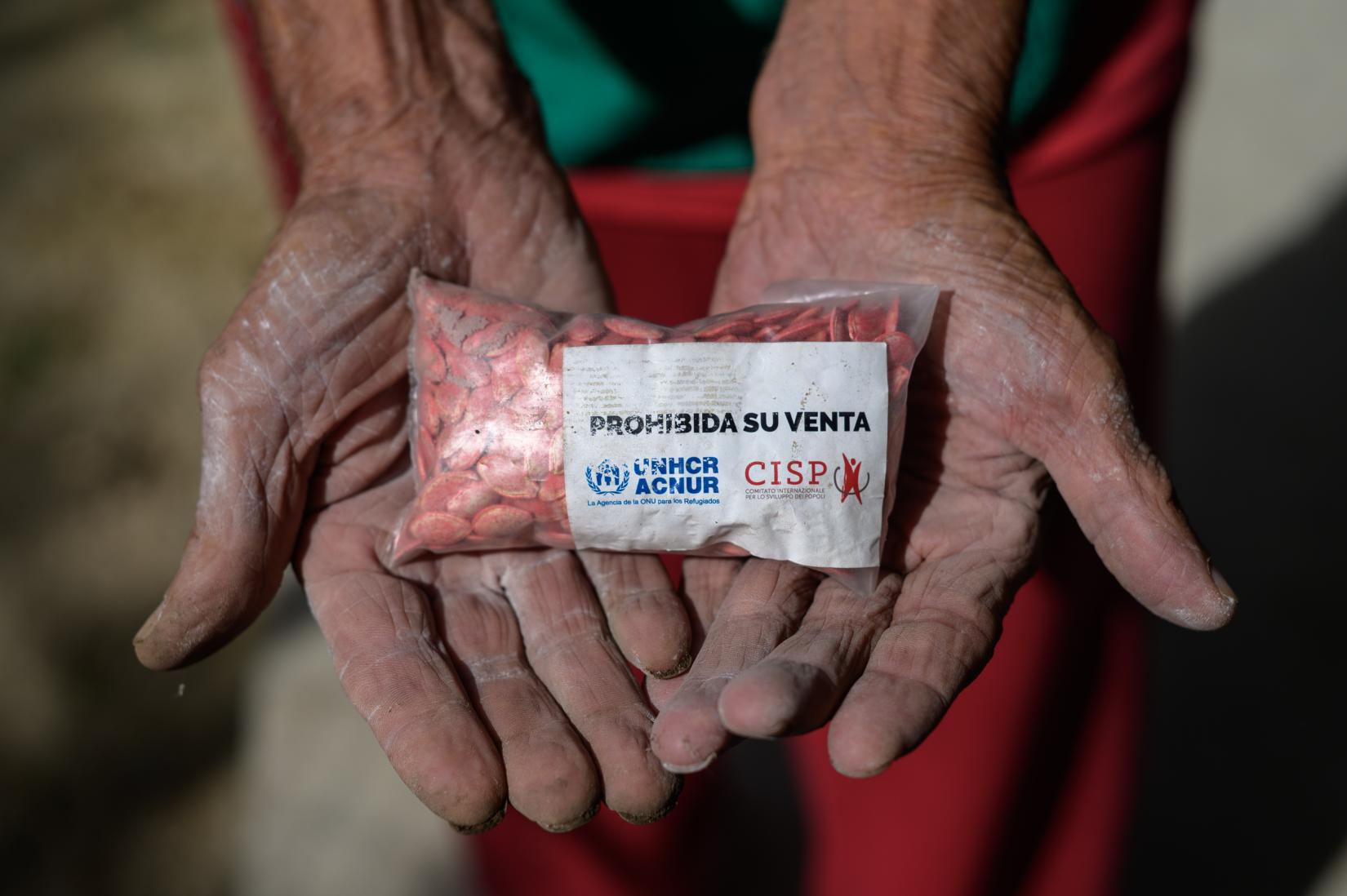 Semillas donadas por ACNUR y su socio CISP usadas en el huerto de la casa hogar geriático "Los Abuelos de Jesús".