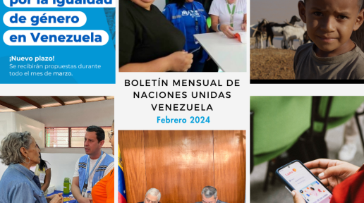 Collage con fotos de las agencias de ONU Venezuela durante febrero 2024